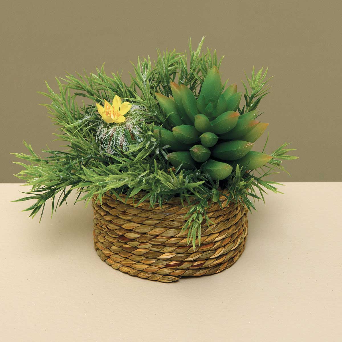 ROSEMARY/SUCCULENTS IN BASKET